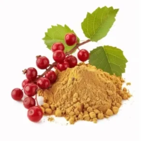 Schisandra Fruit Extract
